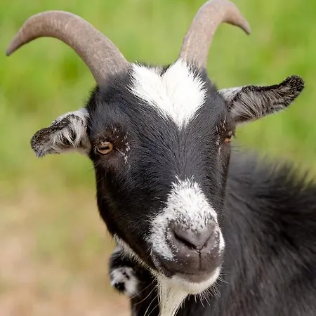 Schlaffass Nordbrock * Hamminkeln