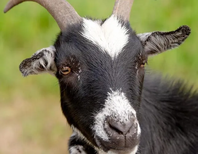 Schlaffass Nordbrock * Hamminkeln